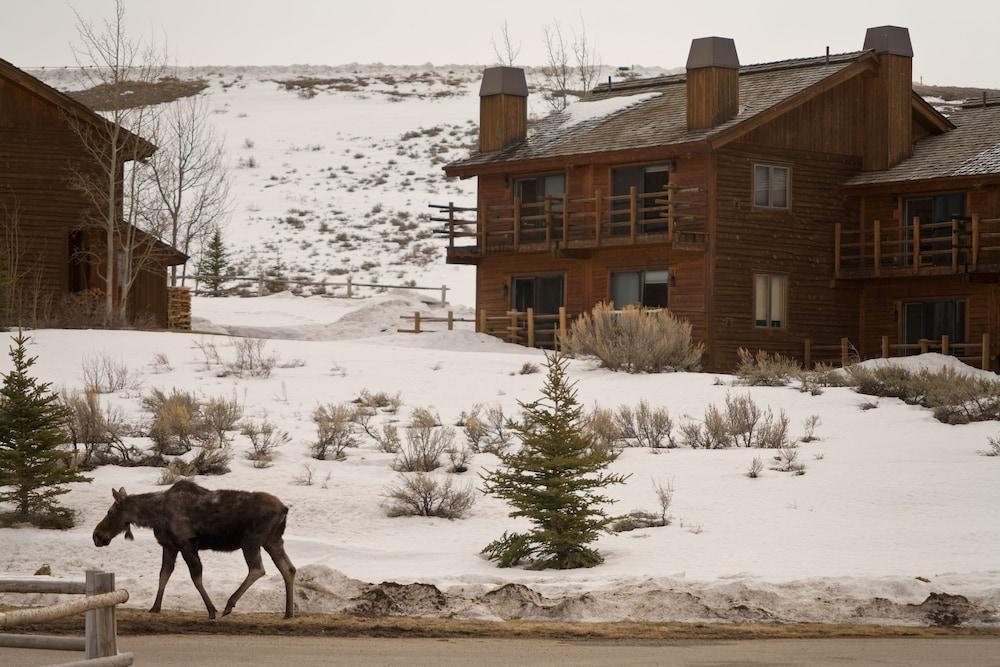 Hotel Spring Creek Ranch Jackson Esterno foto